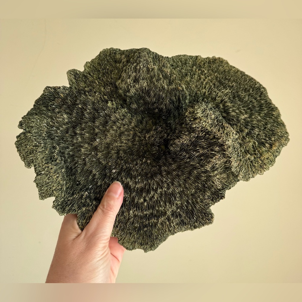2 LARGE Faux Green Coral Aquarium Decor